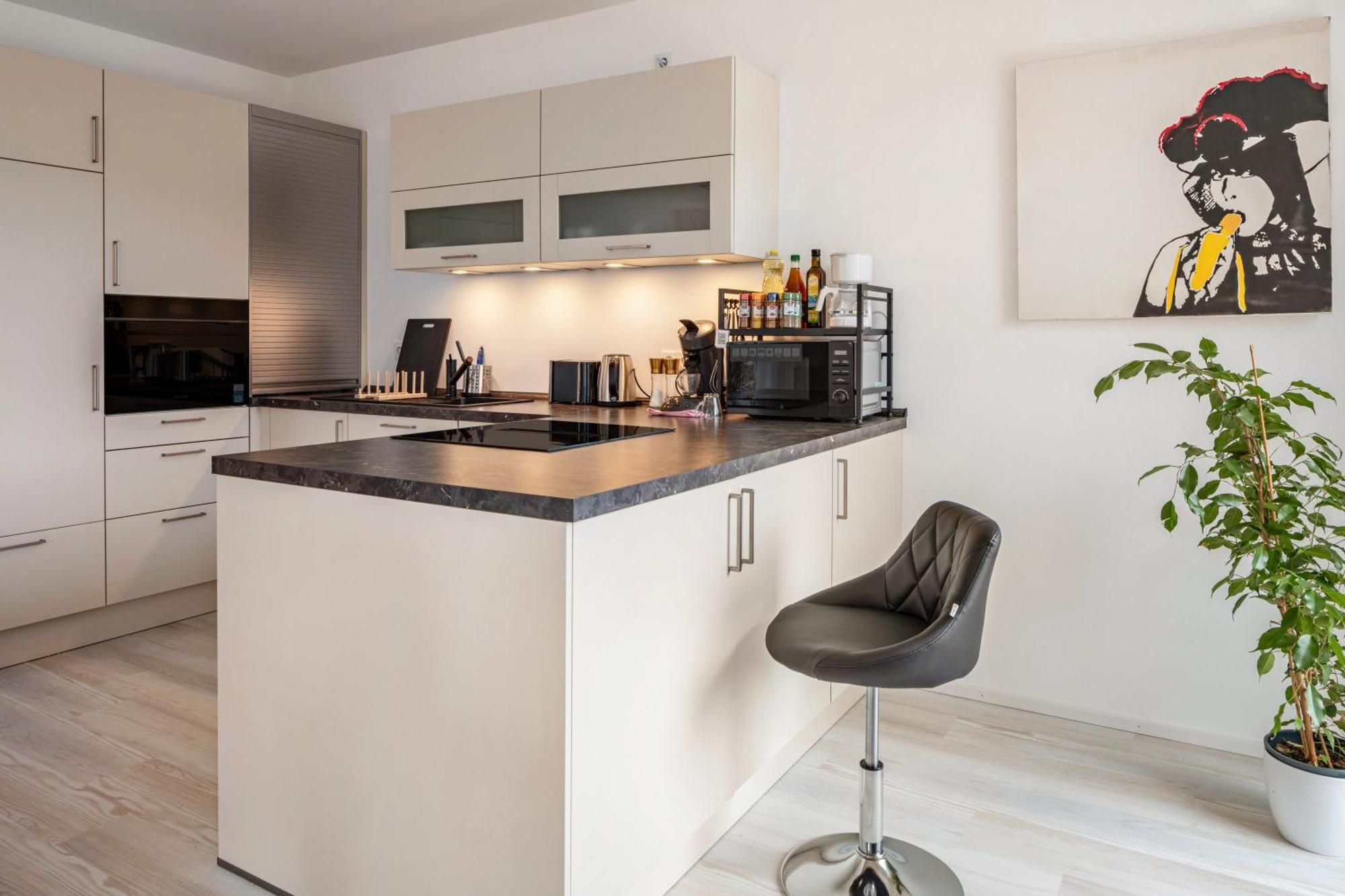 Felsenkeller Appartements Waldkirch Zewnętrze zdjęcie